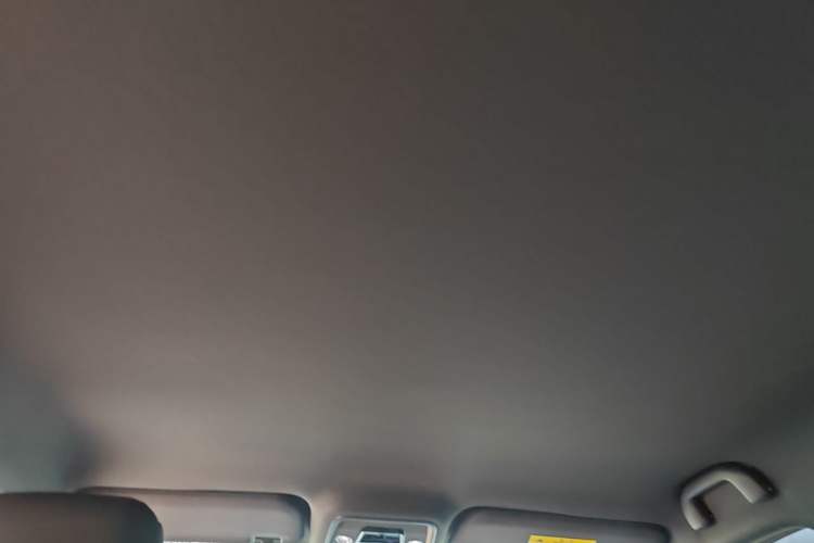 Used BYD Seagull 2025 Intelligent Driving Version 305 km Dynamic Edition Headliner