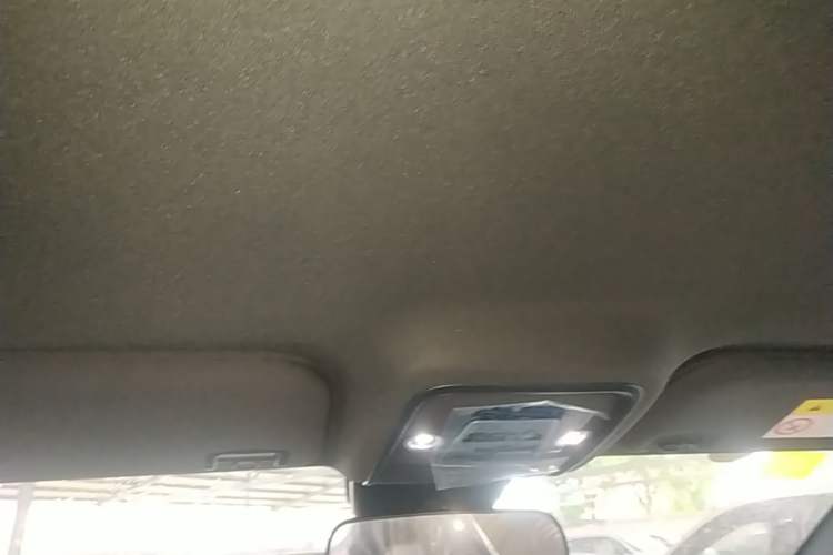 Used BYD Seagull 2025 Intelligent Driving Version 305 km Dynamic Edition Headliner