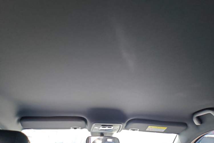 Used BYD Seagull 2025 Intelligent Driving Version 305 km Dynamic Edition Headliner