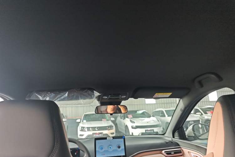 Used BYD Seagull 2025 Intelligent Driving Version 305 km Dynamic Edition Headliner