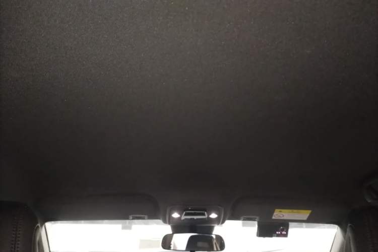 Used BYD Seagull 2025 Intelligent Driving Version 305 km Dynamic Edition Headliner
