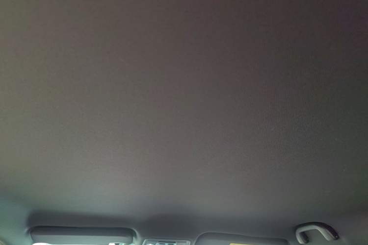 Used BYD Seagull 2025 Intelligent Driving Version 305 km Dynamic Edition Headliner