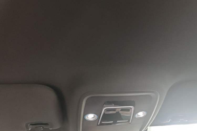 Used BYD Seagull 2025 Smart Drive Version 305 km Freedom Edition Headliner