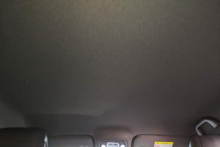 Used BYD Seagull 2025 Smart Drive Version 305 km Freedom Edition Headliner