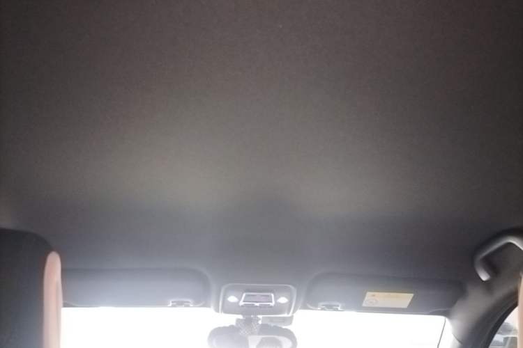 Used BYD Seagull 2025 Intelligent Driving Version 305 km Dynamic Edition Headliner
