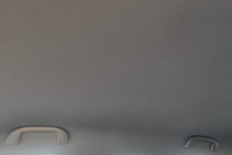 Used BYD Seagull 2025 Intelligent Driving Version 305 km Dynamic Edition Headliner