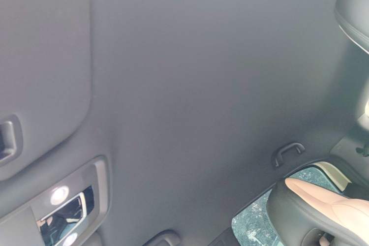 Used BYD Seagull 2025 Intelligent Driving Version 305 km Dynamic Edition Headliner