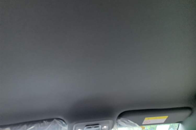Used BYD Seagull 2025 Intelligent Driving Version 305 km Dynamic Edition Headliner