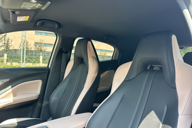 Used BYD Seagull 2025 Smart Drive Version 305 km Freedom Edition Headliner