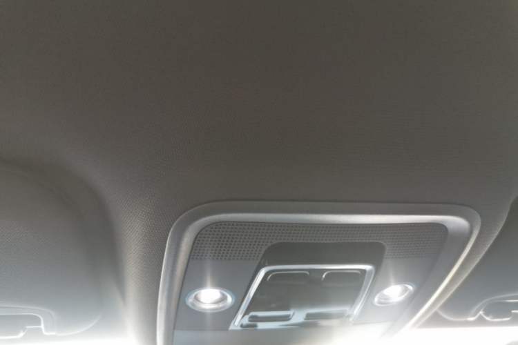 Used BYD Seagull 2025 Intelligent Driving Version 305 km Dynamic Edition Headliner