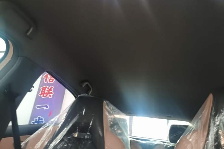 Used BYD Seagull 2025 Intelligent Driving Version 305 km Dynamic Edition Headliner