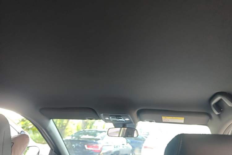 Used BYD Seagull 2025 Intelligent Driving Version 305 km Dynamic Edition Headliner