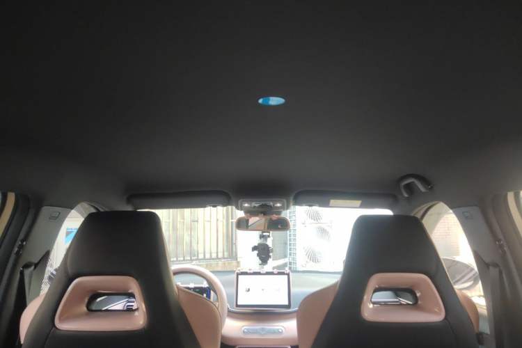 Used BYD Seagull 2025 Model Smart Drive Version 405km Free-Spirited Version Headliner