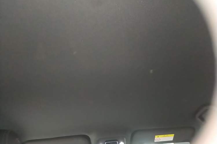 Used BYD Seagull 2025 Intelligent Driving Version 305 km Dynamic Edition Headliner