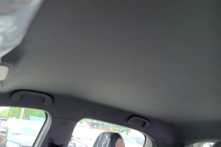 Used BYD Seagull 2025 Intelligent Driving Version 305 km Dynamic Edition Headliner