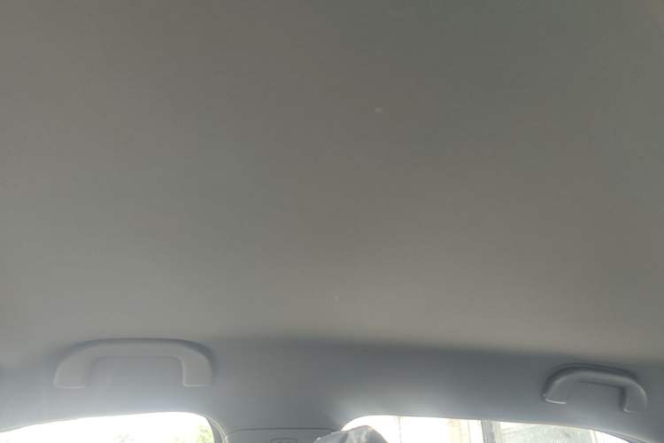 Used BYD Seagull 2025 Intelligent Driving Version 305 km Dynamic Edition Headliner