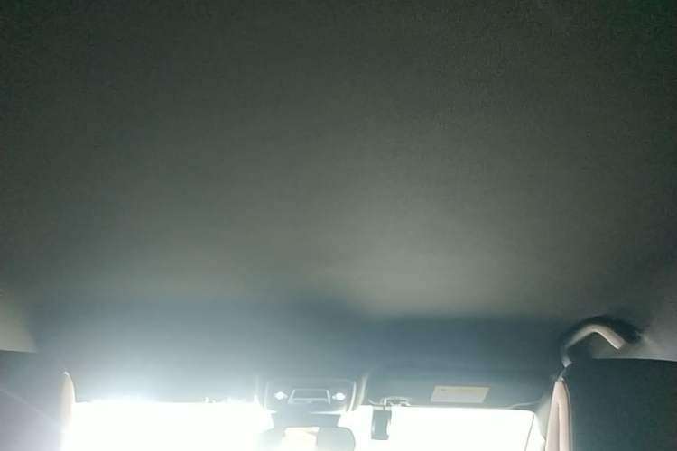 Used BYD Seagull 2025 Intelligent Driving Version 305 km Dynamic Edition Headliner