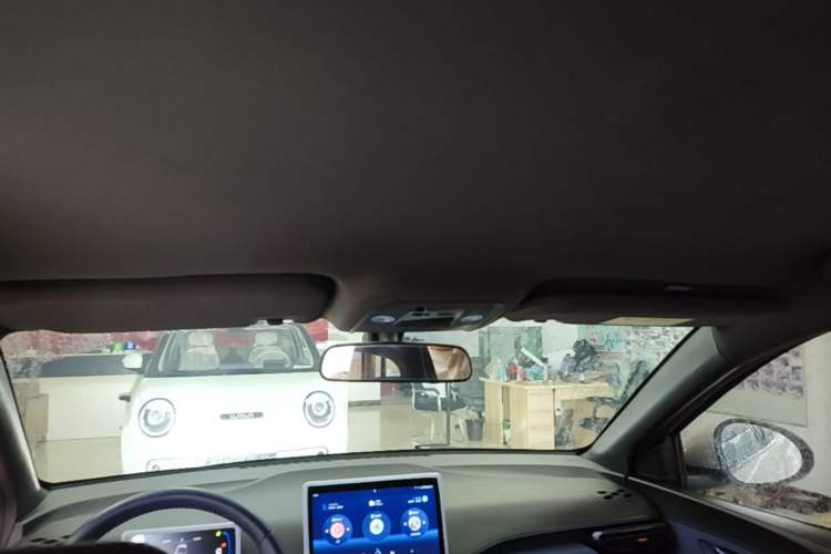 Used BYD Seagull 2025 305 km Free Version Headliner