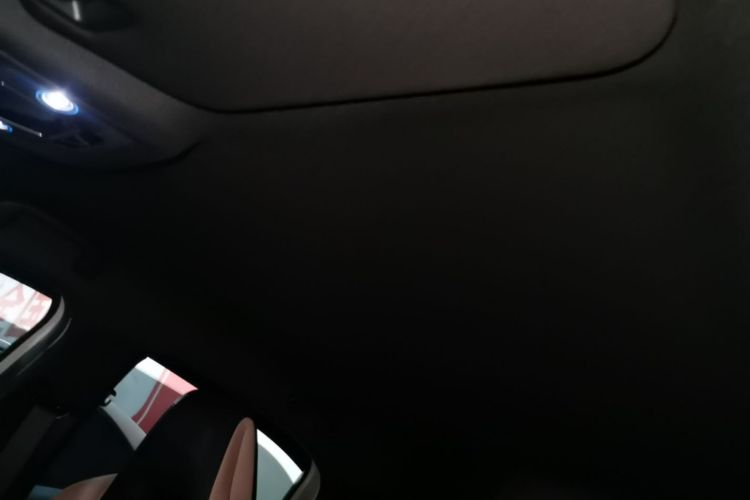 Used BYD Seagull 2025 Intelligent Driving Version 305 km Dynamic Edition Headliner