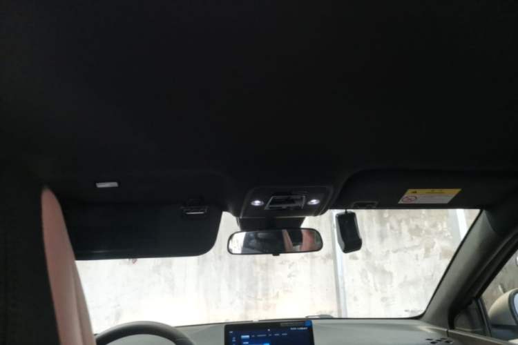 Used BYD Seagull 2025 Intelligent Driving Version 305 km Dynamic Edition Headliner