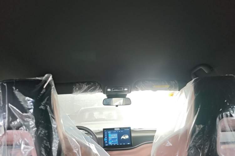 Used BYD Seagull 2025 Intelligent Driving Version 305 km Dynamic Edition Headliner
