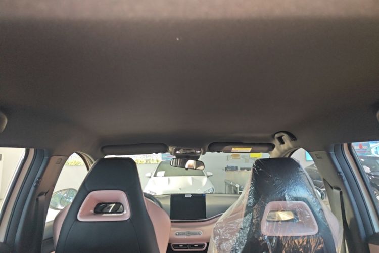 Used BYD Seagull 2025 Intelligent Driving Version 305 km Dynamic Edition Headliner