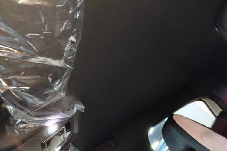 Used BYD Seagull 2025 Intelligent Driving Version 305 km Dynamic Edition Headliner