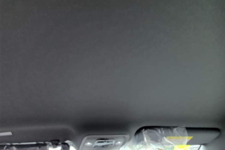 Used BYD Seagull 2025 Intelligent Driving Version 305 km Dynamic Edition Headliner