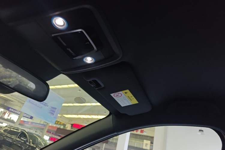 Used BYD Seagull 2025 Smart Drive Version 305 km Freedom Edition Headliner