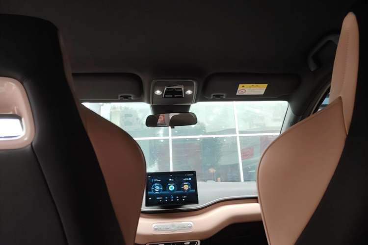 Used BYD Seagull 2025 Intelligent Driving Version 305 km Dynamic Edition Headliner