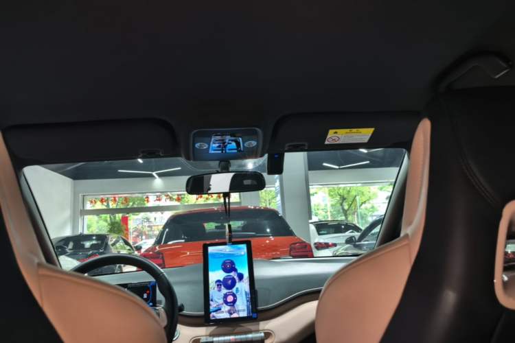 Used BYD Seagull 2025 305 km Free Version Headliner