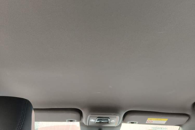 Used BYD Seagull 2025 Smart Drive Version 305 km Freedom Edition Headliner