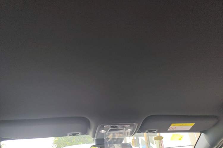 Used BYD Seagull 2025 Intelligent Driving Version 305 km Dynamic Edition Headliner
