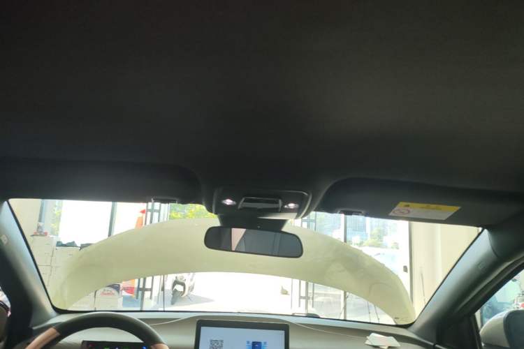 Used BYD Seagull 2025 Model Smart Drive Version 405km Free-Spirited Version Headliner