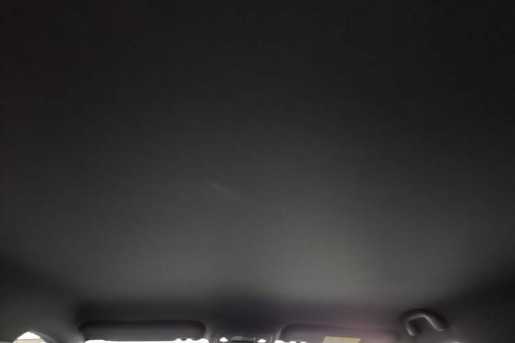 Used BYD Seagull 2025 Intelligent Driving Version 305 km Dynamic Edition Headliner