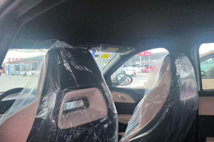 Used BYD Seagull 2025 Intelligent Driving Version 305 km Dynamic Edition Headliner