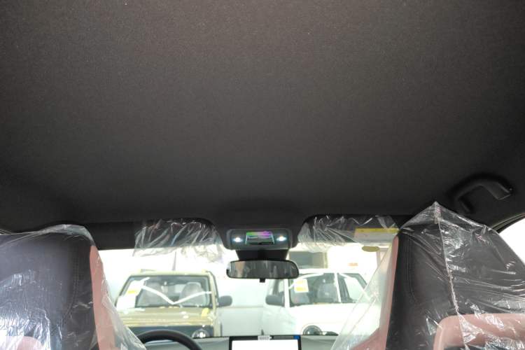 Used BYD Seagull 2025 Intelligent Driving Version 305 km Dynamic Edition Headliner