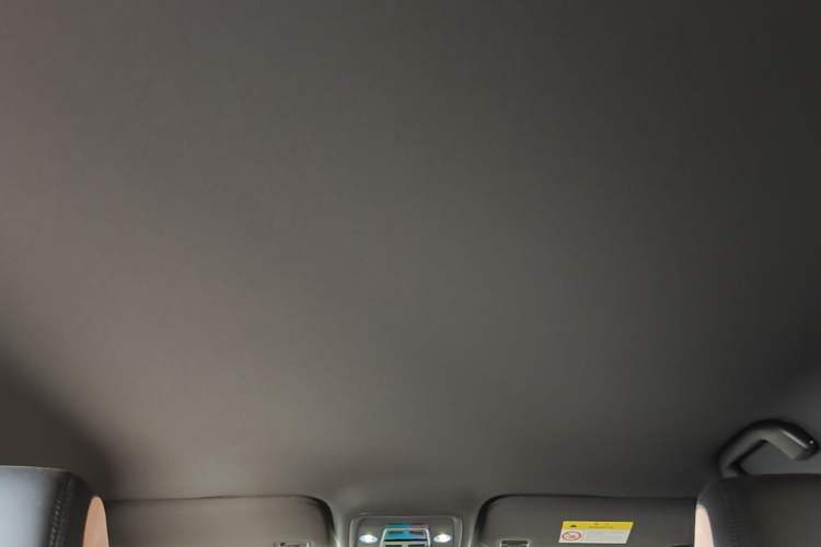 Used BYD Seagull 2025 Intelligent Driving Version 305 km Dynamic Edition Headliner