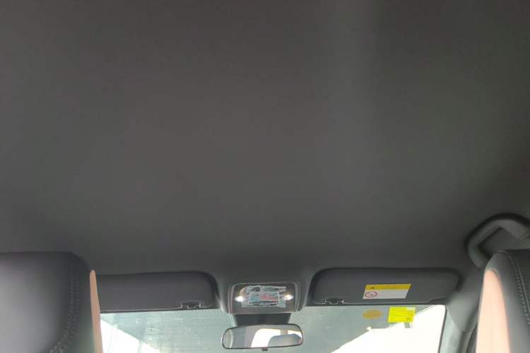 Used BYD Seagull 2025 Intelligent Driving Version 305 km Dynamic Edition Headliner
