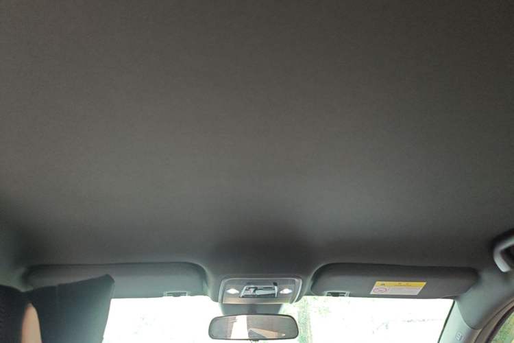 Used BYD Seagull 2025 Intelligent Driving Version 305 km Dynamic Edition Headliner