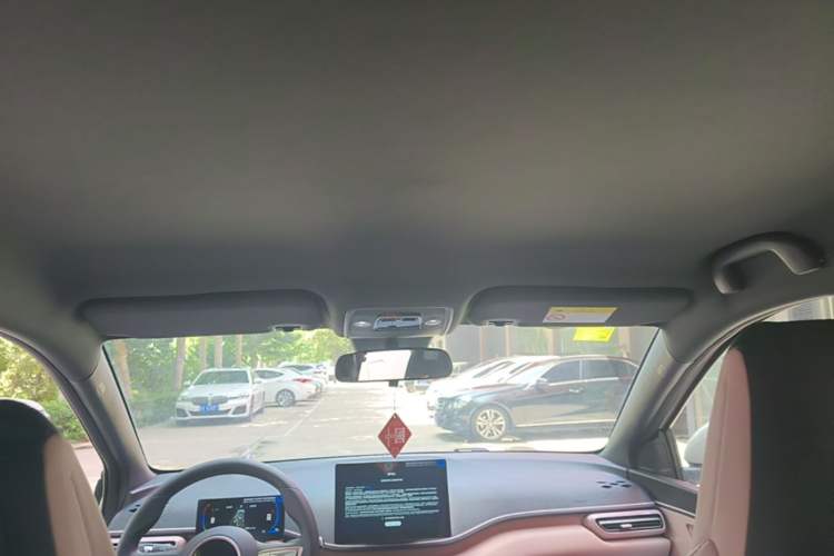 Used BYD Seagull 2025 Intelligent Driving Version 305 km Dynamic Edition Headliner