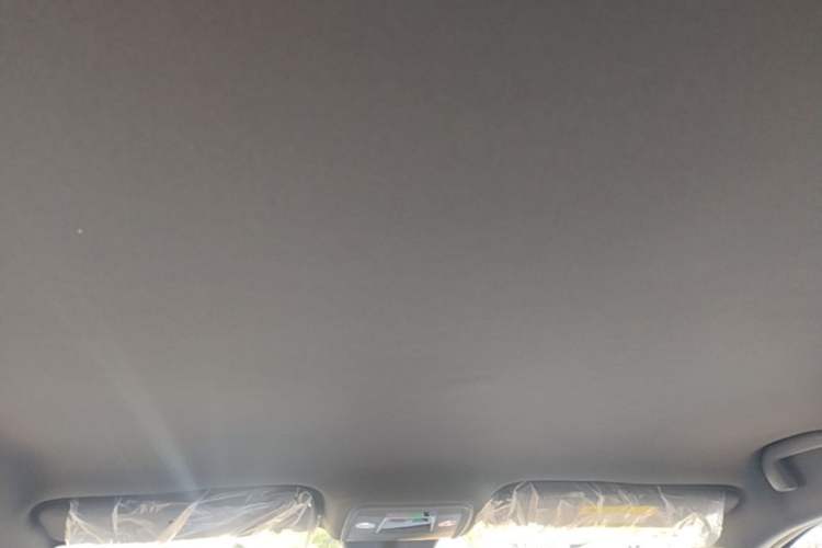 Used BYD Seagull 2025 Intelligent Driving Version 305 km Dynamic Edition Headliner