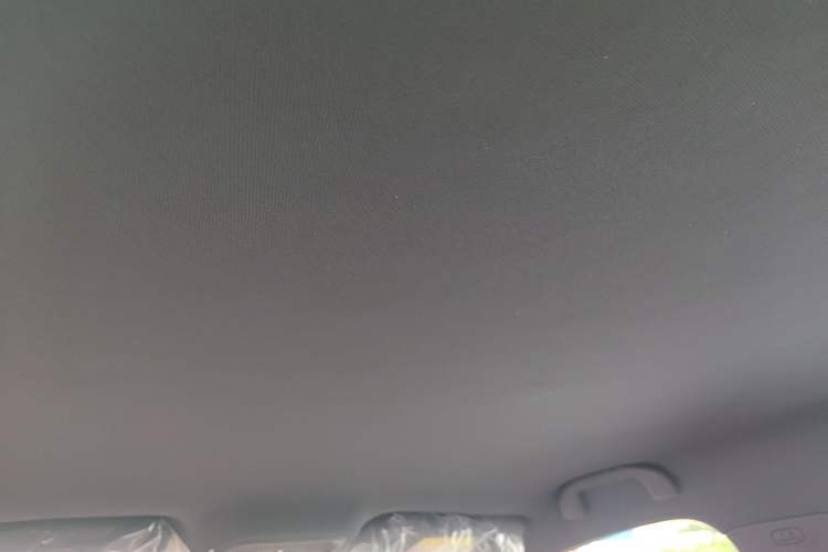 Used BYD Seagull 2025 Intelligent Driving Version 305 km Dynamic Edition Headliner