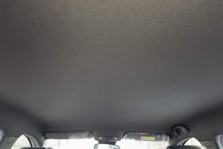 Used BYD Seagull 2025 Intelligent Driving Version 305 km Dynamic Edition Headliner