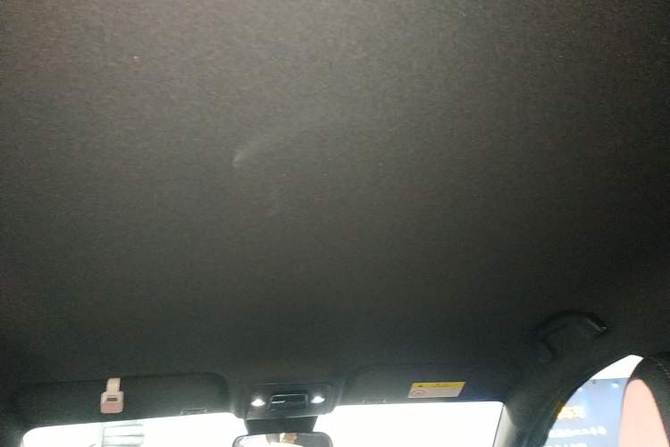 Used BYD Seagull 2025 Intelligent Driving Version 305 km Dynamic Edition Headliner