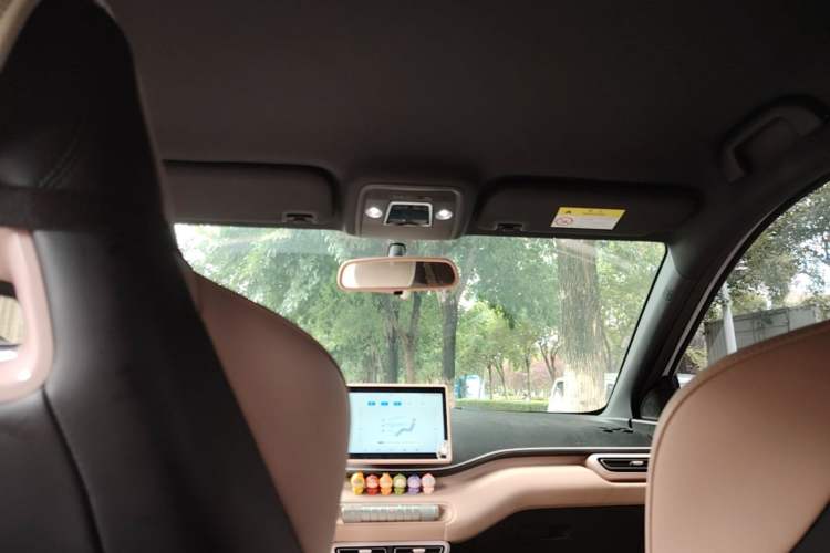 Used BYD Seagull 2025 305 km Free Version Headliner