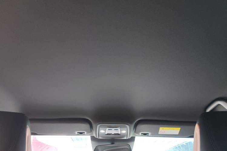 Used BYD Seagull 2025 Smart Drive Version 305 km Freedom Edition Headliner