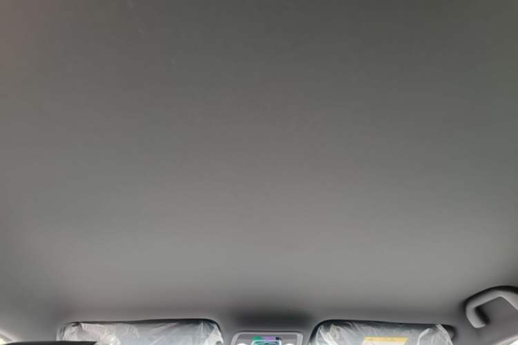 Used BYD Seagull 2025 Intelligent Driving Version 305 km Dynamic Edition Headliner