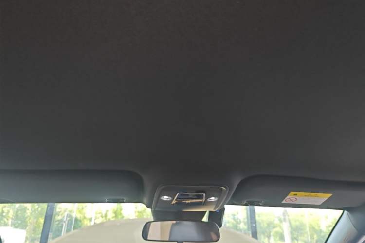 Used BYD Seagull 2025 Model Smart Drive Version 405km Free-Spirited Version Headliner