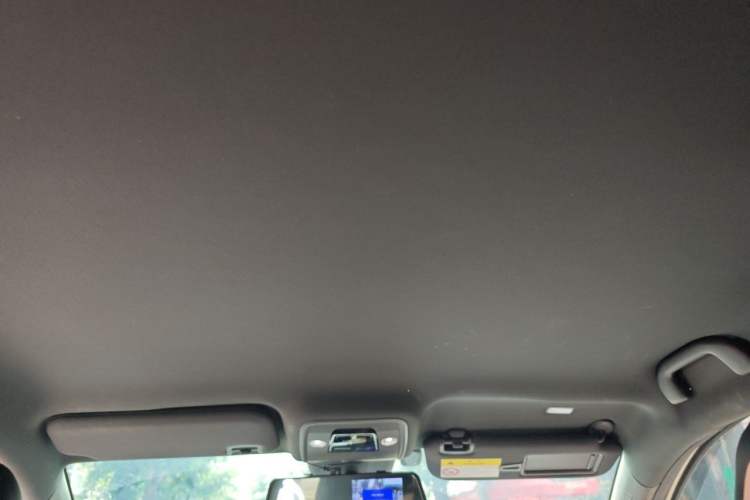Used BYD Seagull 2025 Model Smart Drive Version 405km Free-Spirited Version Headliner